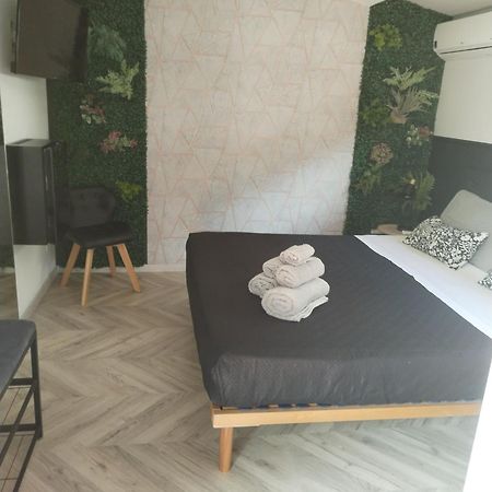 B&B Marino Grisolia Exteriér fotografie