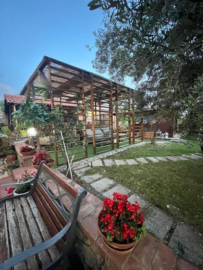 B&B Marino Grisolia Exteriér fotografie