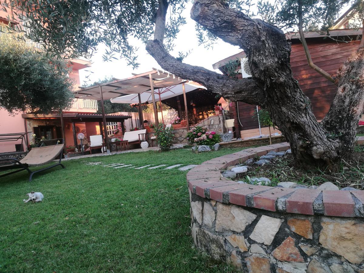 B&B Marino Grisolia Exteriér fotografie